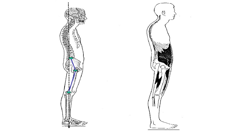 طب فیزیکی و توانبخشی اصفهان ساختار قامتی صحیح چه فوایدی دارد ؟