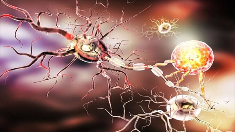 علائم ALS یا اسکلروز جانبی آمیوتروفیک چیست؟ | متخصص طب فیزیکی و توانبخشی اصفهان