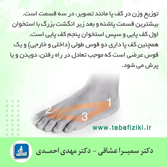 آشنایی با قوس های کف پا | متخصص طب فیزیکی و توانبخشی اصفهان