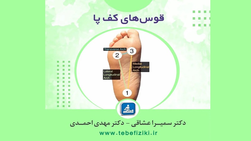 آشنایی با قوس های کف پا | متخصص طب فیزیکی و توانبخشی اصفهان